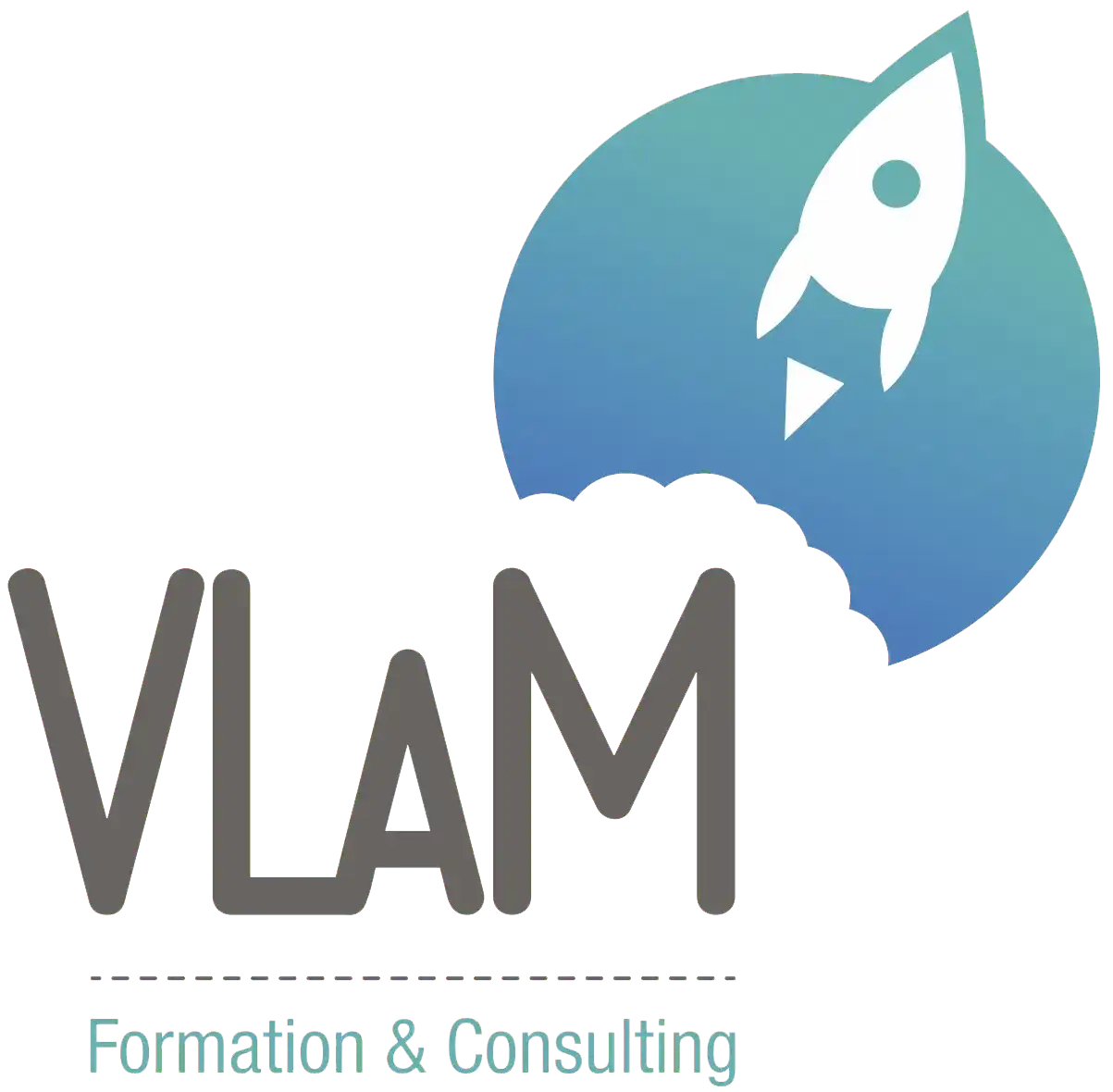 logo_vlam consulting